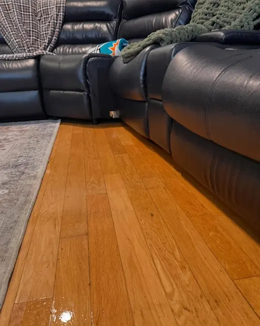The same living room floor after cleaning by Katy Home Improvement